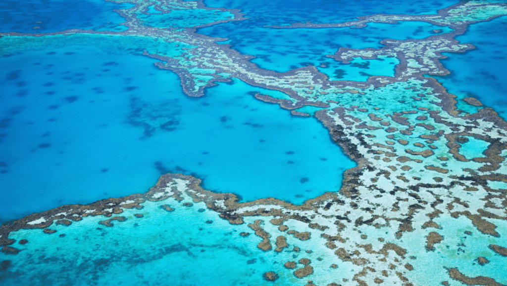 Great Barrier Reef