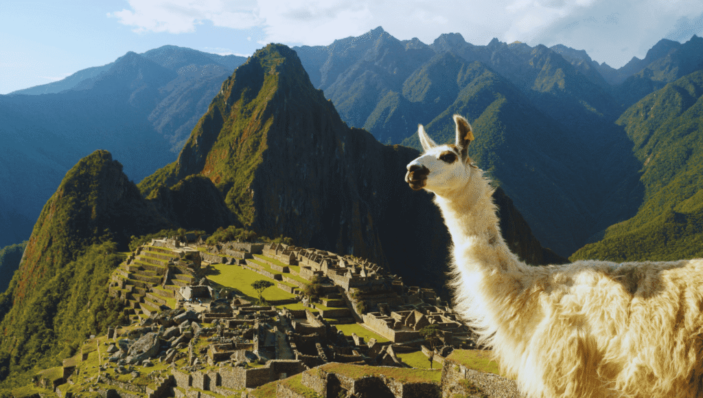 Machu Picchu