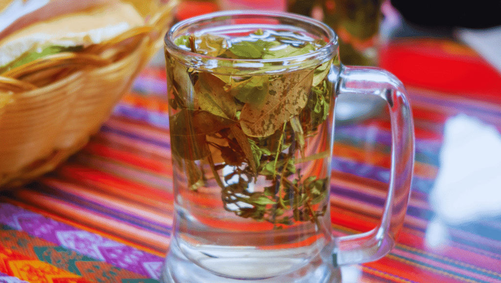 Mate de Coca