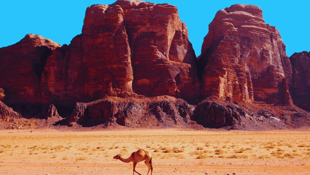 Wadi Rum