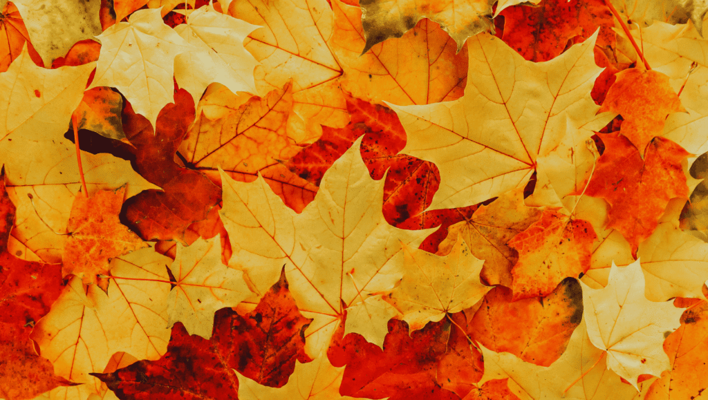 autumn travel Europe